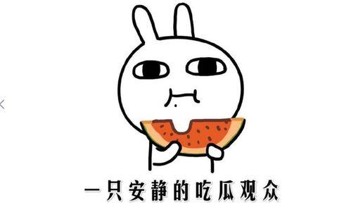 我在吃瓜什么意思,揭秘“吃瓜群众”背后的网络现象