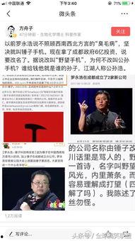 罗永浩娱乐圈吃瓜,从锤子科技到娱乐圈吃瓜达人