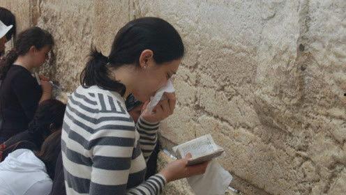 娱乐吃瓜君谢娜,娱乐吃瓜界的“开心果”